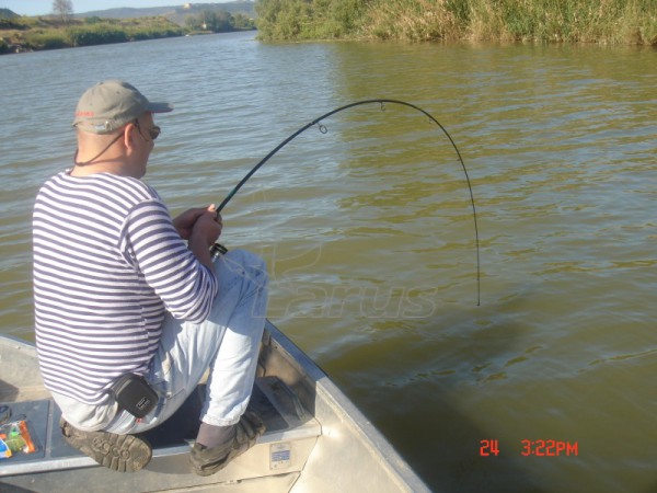 Ispanija, Segre upė. 2006m