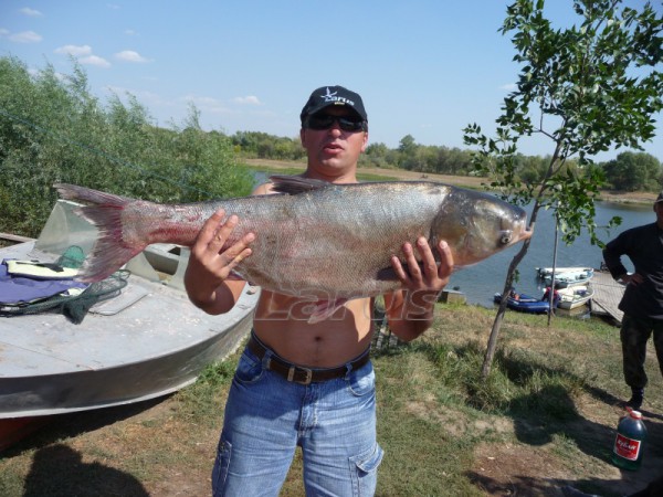 Rusija, Volga netoli Astrachanės.2008m.